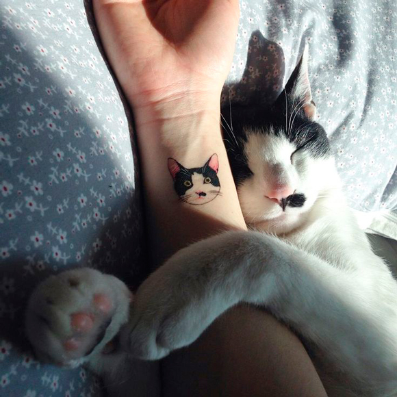 tatuagem-de-gato-capa